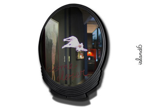 20130309074849-doggy_in_mirror