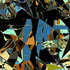 20130309153735-chaos-over-order