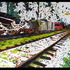 20130309173152-kopf_suzy_13