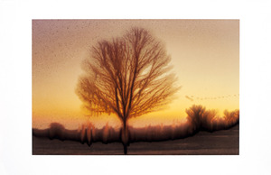 20130309175257-slurry_bare_tree
