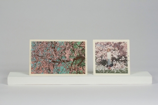 Blossom ,Elisheva Biernoff