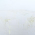 20130309183313-drawing-2v1web