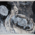 20130309222025-gray_01_dream_within