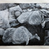 20130309222710-sleeping_alone