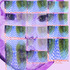 20130310013035-snake_pit