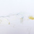 20130310135535-drawing-4v1web