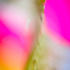 20130310203014-discard-pharma-5