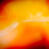20130310203359-discard-pharma-4