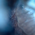 20130310203443-discard-pharma-6