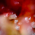 20130310203529-discard-pharma-7