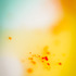 20130310203607-discard-pharma-8