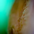 20130310203814-discard-pharma-11