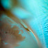 20130310203901-discard-pharma-12
