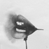 Sen4