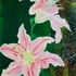 20130310213406-pink_lilies_on_green