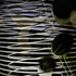 20130311224817-rufth0954-450x6001