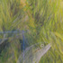 20130312045837-kristineidarius_greenandbluehistory_acryliconpaperandfabric__detailof22x35_22