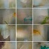 20130312163819-notion_of_number_one_composite