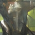 20130313173000-fragmenting_rubens_i_-_oil_on_canvas-68_x_42