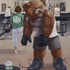 20130313180305-steroidteddy1