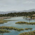 20130313182254-river_boats