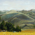 20130313182338-summercamp