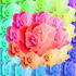 20130313202004-flowerspiral