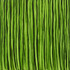 20130314171021-jamie_brunson_arcadia_-_copy