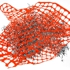 Igloria_entanglement_in_orange_g