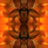 20130315224702-hot_box_l_-_2934_-_f_s_alt_a