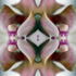 20130315224735-hot_box_ko_-_9294_-_fmr_s