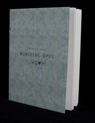 20130316002202-wingding_cover