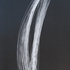 20130318000456-dsc_0126b_w03
