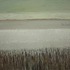 20130318072102-the_rye_cornfield__oil_on_canvas__50x60__2013