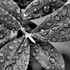 20130318211532-image