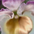 20130318211717-solarizedimg_0179-copy-2