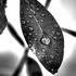 20130318211725-image