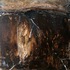 20130319034114-root