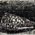 20130320084116-untitled_2012_indian_ink_on_pages_from_the_oxford_universal_dictionary