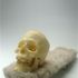 20130320155556-mxf_skull_skate