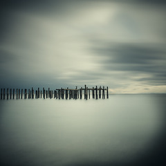 20130321215734-1122-salishsea-021