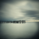 20130321215734-1122-salishsea-021