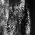 20130322003803-image