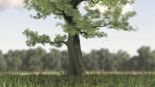 Filmstill: 1.movi,
