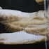 20130322095323-point_of_juncture_ii_cos_ahmet