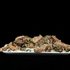 20130323081711-csm_sdm_objectif_exhibitions_invitation_48abed354f