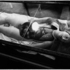 20130323235641-1990_zl_wax_anatomical__full_view_01