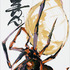 20130325155629-pdpackard_samemind_line