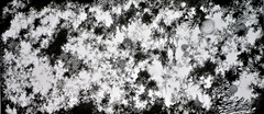 20130325024206-9