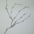 20130325073008-eye_etc_3b
